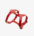 Завантажити зображення в галерею, Шлея для собак шкіряна анатомічна "Classy"
